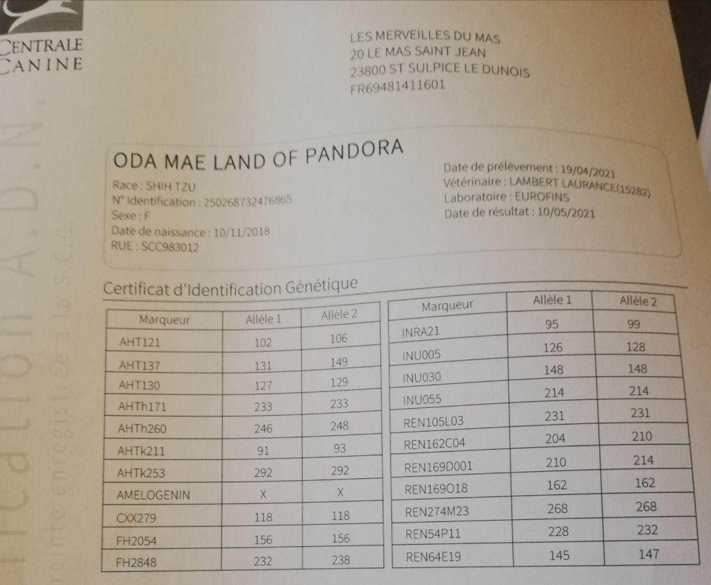 Oda mae Land Of Pandora