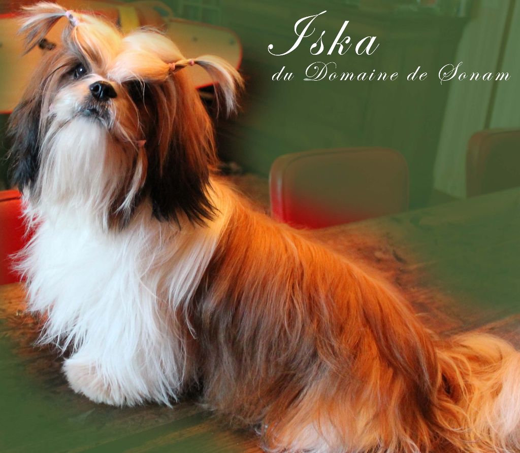 Iska Du Domaine De Sonam